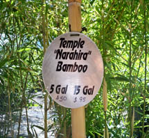 Narihira Bamboo